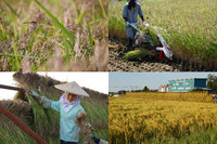 ���Ƥΰ𴢤�ȤϤ��ݤ� 