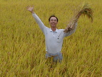 ��ǯ����ǯ�ˤʤ�˭��Ǥ����� 