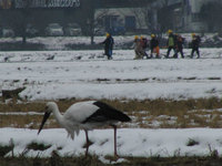 ˭���Υ����Υȥ� 