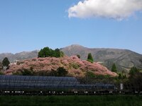 ���¼��Ȭ�ź�