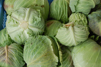 �㲼����٥� 