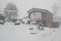 �����Ѥ���� 