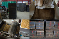 �����ޤ����ż�� 