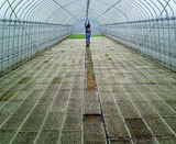 �ӥˡ���ϥ���7�郎���äѤ��ˤʤ�ޤ��� 