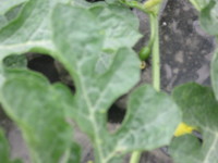 ���������֤����Ǥ��� 