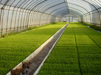 ��������Ĺ�����Ŀ������ԤäƤ��ޤ��� 