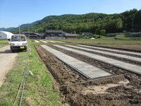 ��Ⱦ���Ⱦ��Ⱦ����ޤ����� 