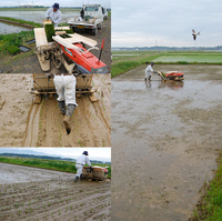 ���Ƥ��Ŀ��� 