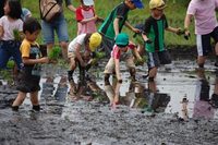 ĤܤγعšҶĿ򤷤ޤ 