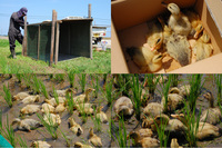 ����ʥ����������ˡ 