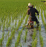 ���Ѽ����Ĺ��ڤ굡�����̥饤�����ʤǤ���餤�����ˡ� 