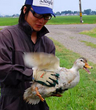 ��ΤҤ饵��������3������礭������ޤ��� 