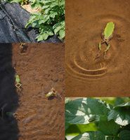 �ߥ˥������α����ʥ��ޥ������ 