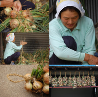 ���̤ͤ�����¸ 