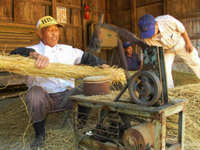 ������ΤΤ������� 