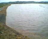 ���Τ褦�ˤʤäƤ��ޤä��Ĥ�� 