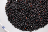 26ǯ�����ơֹ��ơ�ī���ͭ�����ݡˡ� 