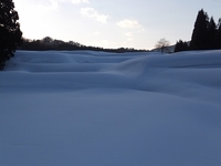 ��β���ê�� 