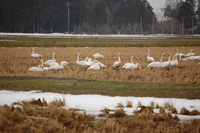 ��Ļ�η��� 