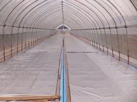 �¤٤���Ȣ�ξ�ˤϥ����Ȥ򤫤֤��ޤ��� 