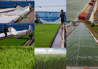 �ס������ 