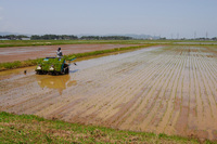 ̵�����Ĥ��Ŀ��� 