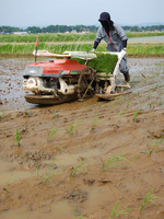 ���ơ�ī����Ŀ��� 