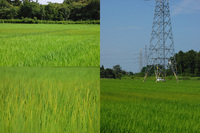 �Ĥ�ܤ����� 