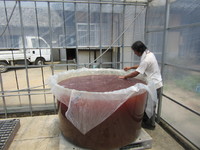 ��Τ���ˤ϶�Τ���Ǥ��� 