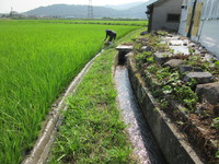 ����³���ޤ��� 