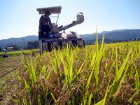 �Ҷ��Ȱ��˰𴢤� 