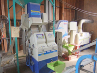 Ԥ꤫ơԥåԥåοƤǤ 