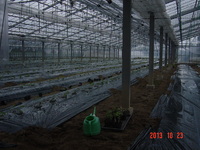 ?���ϥ������ߥ��奦����꿢 