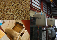 �����ޤ����ż�� 