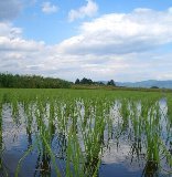 ��ä��Ŀ����⽪��ꡢ�Ĥ������Ǥ��ޤ��� 