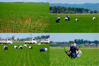 ͭ�������Ƥ��Ĥ�ܤ����� 