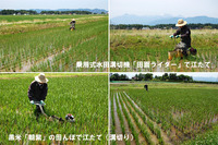 �����ơʹ��ڤ�� 