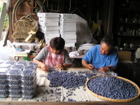 ��γ�Ť����̤�����Ļ���� 