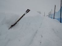 ��ȳ�Ʈ���Ƥ��ޤ��� 