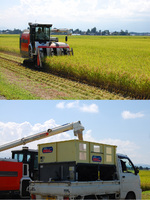 ���Ƥΰ𴢤� 