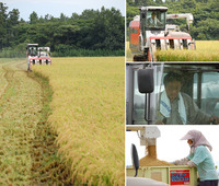 22ǯ�����Ƥΰ𴢤곫�� 