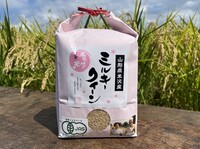 JASͭ�����ݥߥ륭������������2?