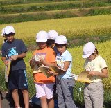 ���ᾮ�ع��Τߤʤ��� 