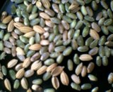 ���Ƥ��椫���ä��⡣�빽���ѤǤ��� 