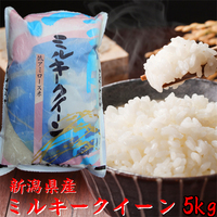 ֥ߥ륭ס㸩ߥ륭󣱣