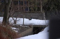 �����Υ��� 