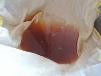 ������ʤ롪 