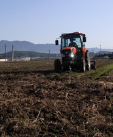 �������餱����ĥ�äƤޤ����� 