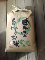 彣ΥҥΥҥŷ ̵̵ݡ