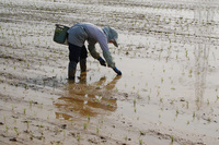 ü�������俢���꿢�� 